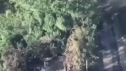 Cleansing the world of Rashists