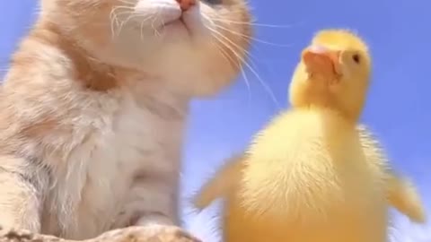 Anya loves each other