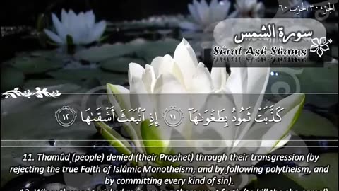 91.SURAH 091 SHAMS RECITATION BY SHEIKH MAHER AL MUAIQLY.mp4