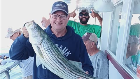Striped bass.