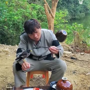 His daily life in the mountain with his pet friends
