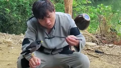 His daily life in the mountain with his pet friends