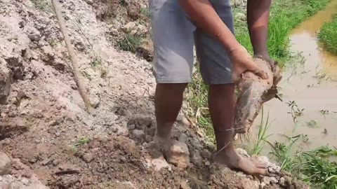 Unbelievable fishing technique! Traditional boy catching big fish!