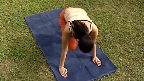 Vyaghrasanam- Yoga