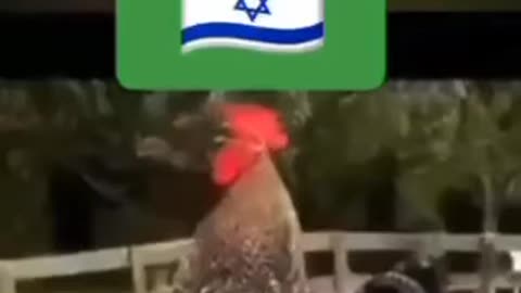 🤓