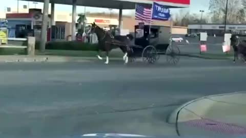 Trump 2020. Vote! That's the shit right there.