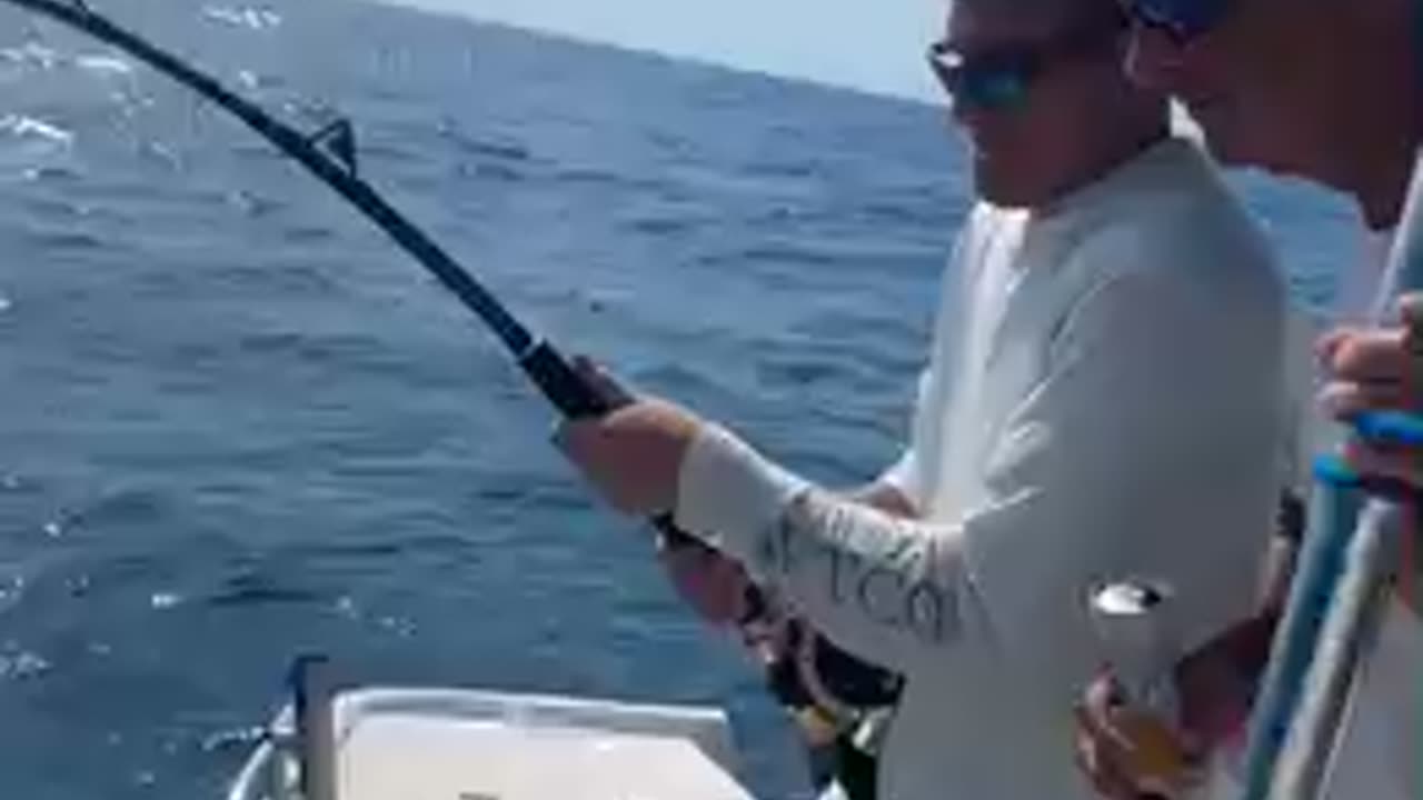 Catching sharks!