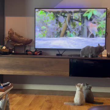 ، 🤣🖥️🤯😅😅