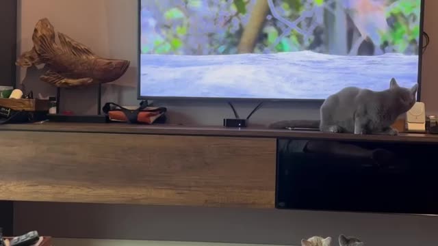 ، 🤣🖥️🤯😅😅