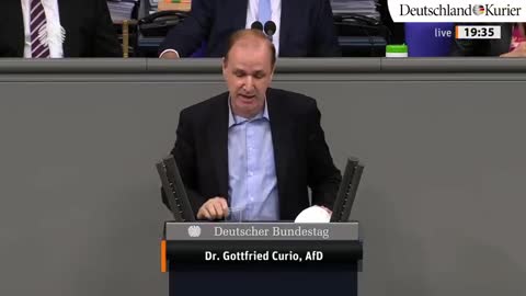 Irrsinn Die „Grünen“ und die Massenmigration Christian Jung