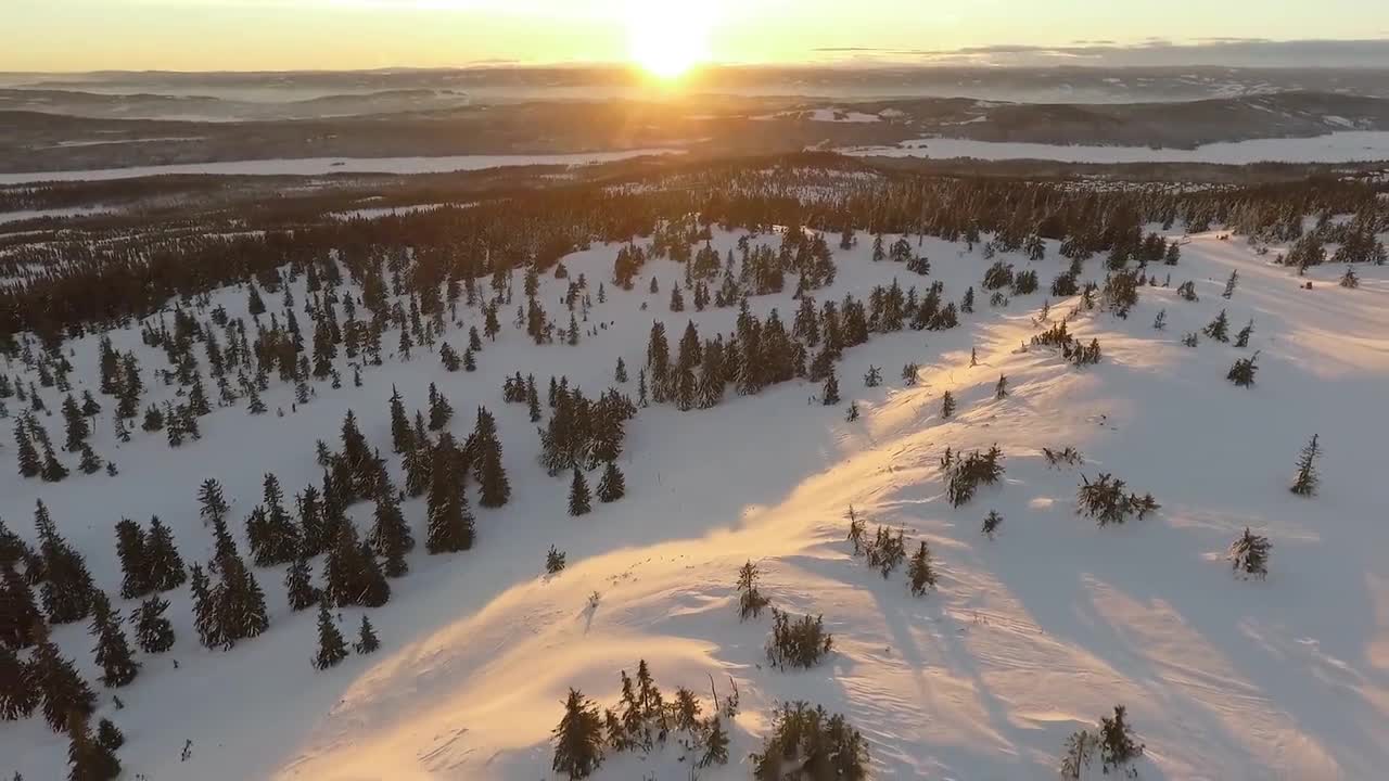 Beautiful Relaxing Snowfall, Nature, Snowing