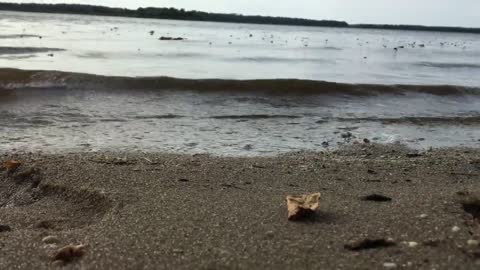 My FIRST TIME Being At A Lake While Hiking!