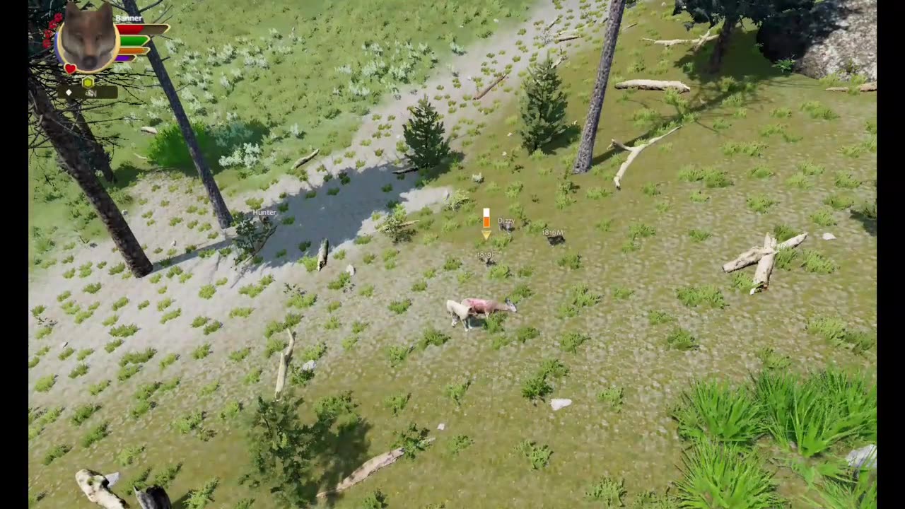 Wolfquest Ultra Iron Wolf Challenge- 10
