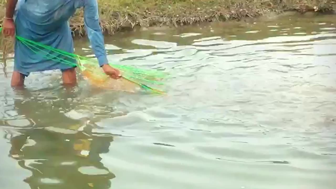 How to catch a fish 🎣