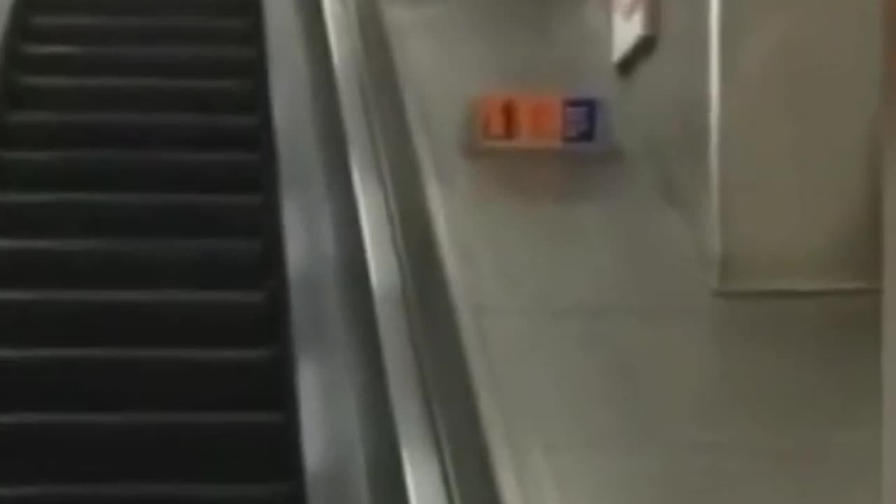 Funny memes
