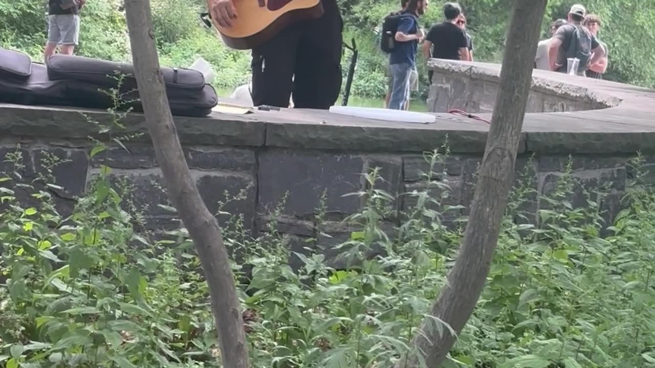 Nutshell - Alice In Chains Cover - Central Park NYC - on a Gibson HP 415 CEX
