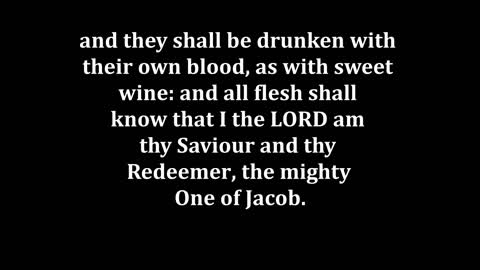 Isaiah 49 King James version