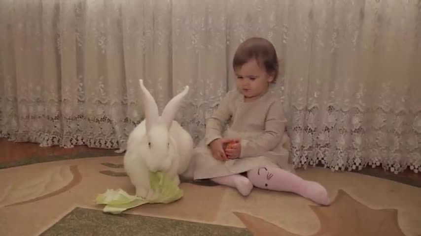 Cute_Baby_Feeding_a_Rabbit