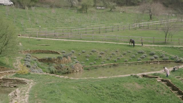 people-walking-in-the-grassland
