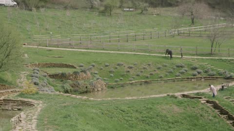 people-walking-in-the-grassland