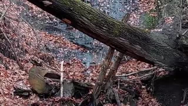 Unpublished waterfall Ohio Rocky River Reservation