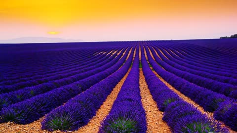 10 Minutes of Beautifully Relaxing Music!