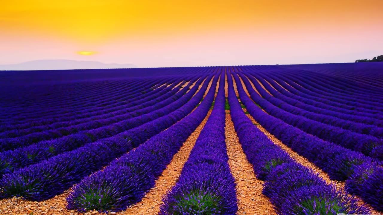 10 Minutes of Beautifully Relaxing Music!