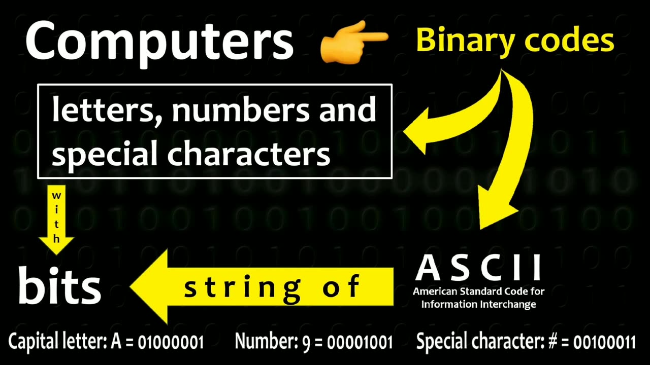 WHAT IS BINARY NUMBER?