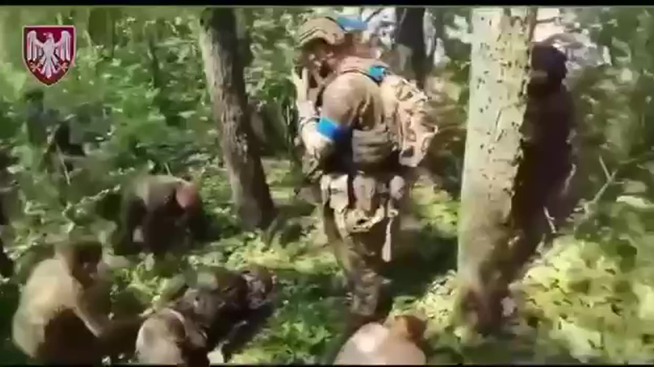 ☠️ Ambush on Russian soldiers, - 82nd Separate Air Assault Brigade