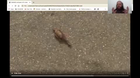 5G killing people and animals