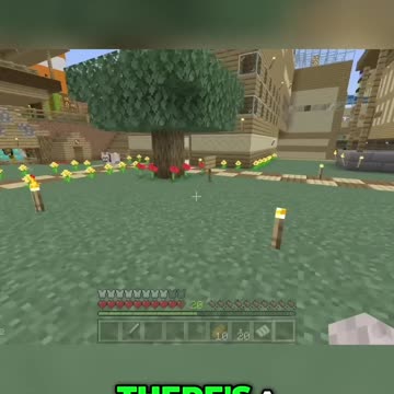 Exploring the Town: A Fun Day with Our Dogs