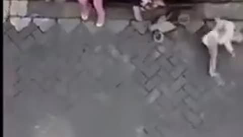 Monkey On Bike Steals Baby