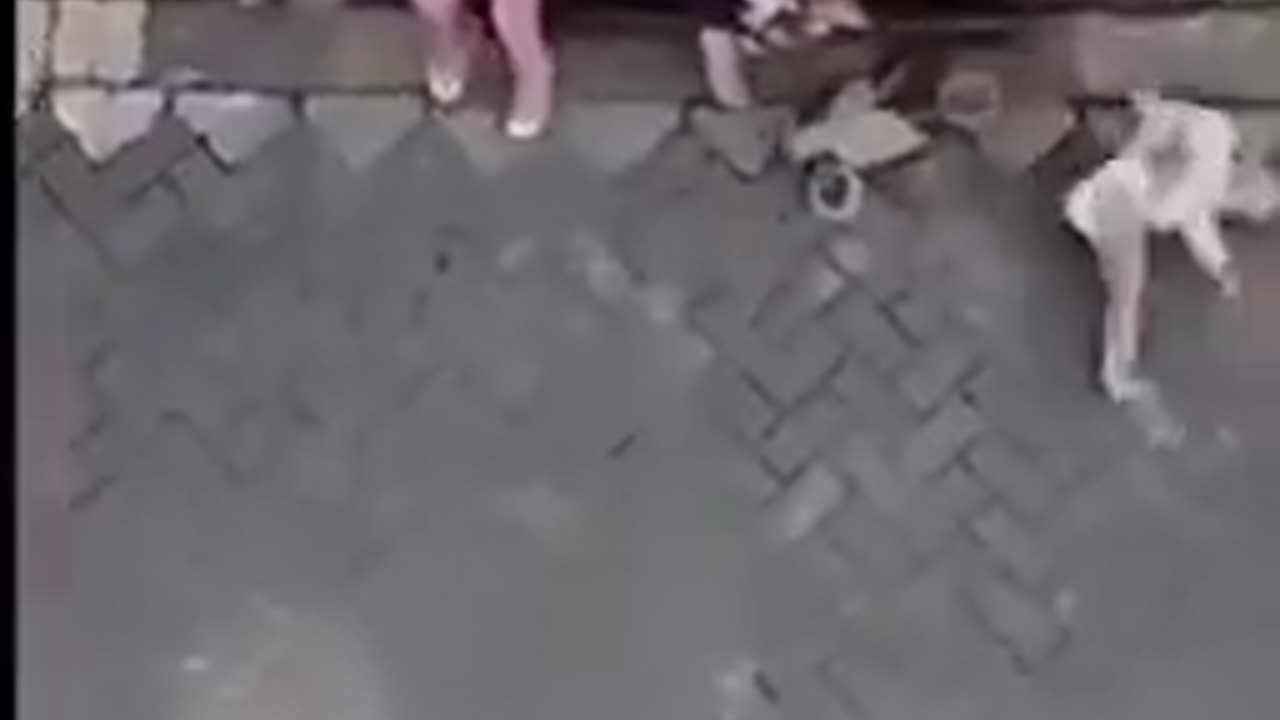 Monkey On Bike Steals Baby