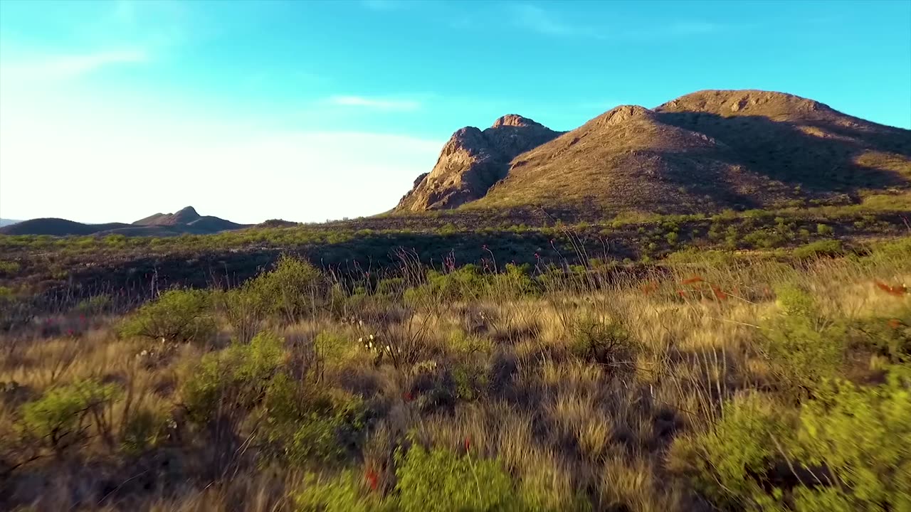 Alesso - REMEDY (Official Music Video)