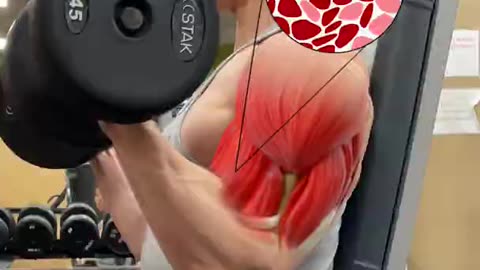 Biceps Not Growing STOP DOING THIS!