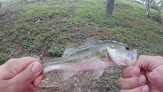 Fishing San Antonio Park
