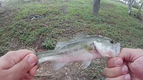 Fishing San Antonio Park