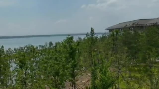 beautiful view