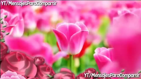 2 Horas con lo Mejor de la Música Cristiana de Marco Antonio Solis | Hermosas Alabanzas