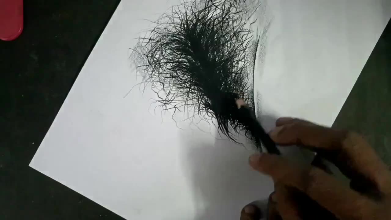 Pencil- Drawing- Grass