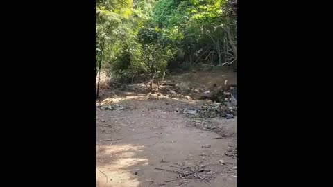 Totally Random Funny Videos