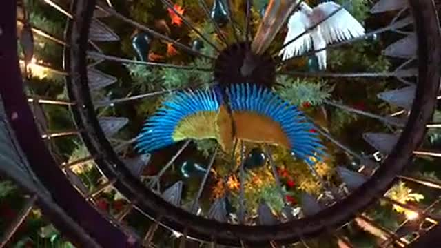 BIRDS IN THE WHEEL