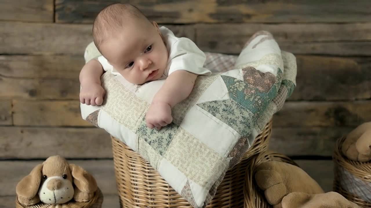 Baby and soft toy dogs. Basket with a small child