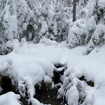 Winter in Maine. I’m loving it.