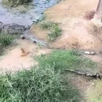 Response to @imarlg for those who asked with Miguel's audio