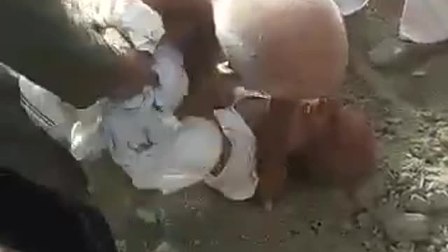 Funny Moments Pakistan Baba don