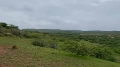 Nature view