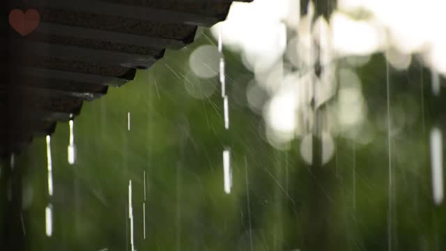 Relaxing Roof Top Rain