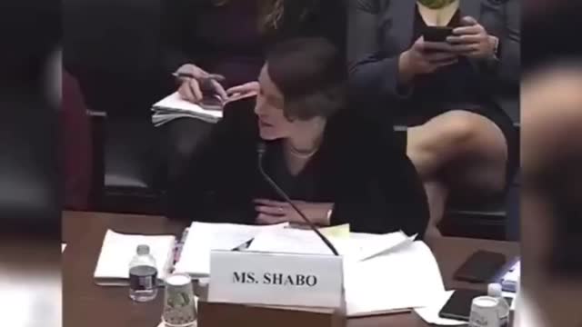 Congresswoman AOC on Dogs Maternity Time