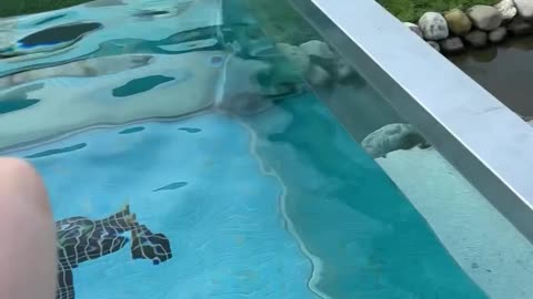 sexy woman swimming in swimming pool with spoiled look